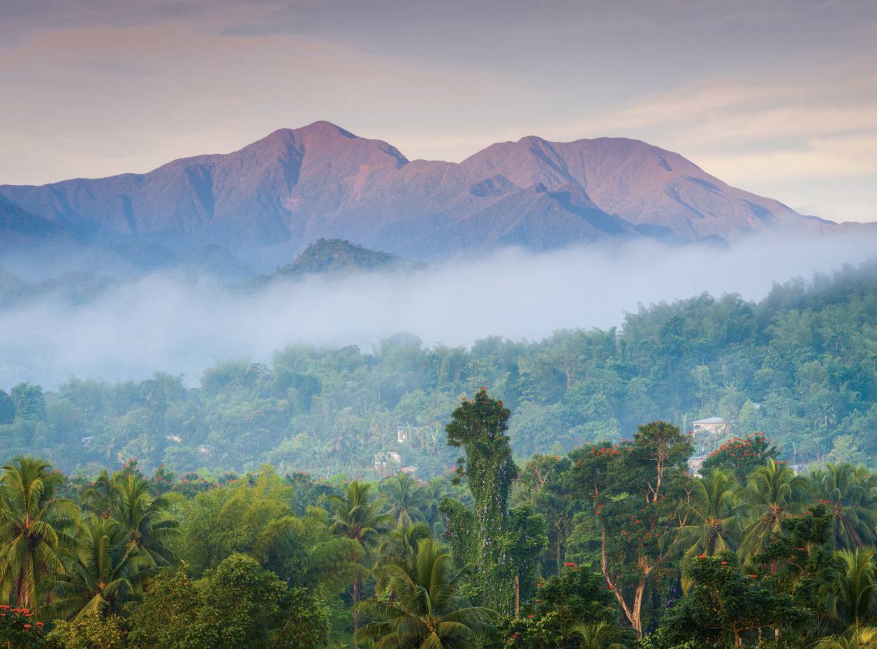 Jamaica Blue Mountain Coffee Region
